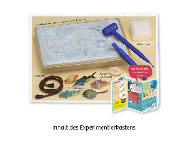 Meeres-Abenteuer - 0