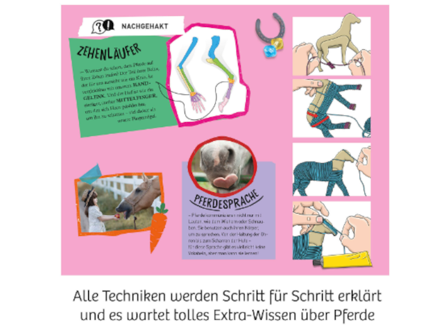 Traum-Pferd - 1