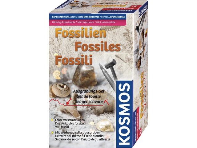 MITBRING Fossilien