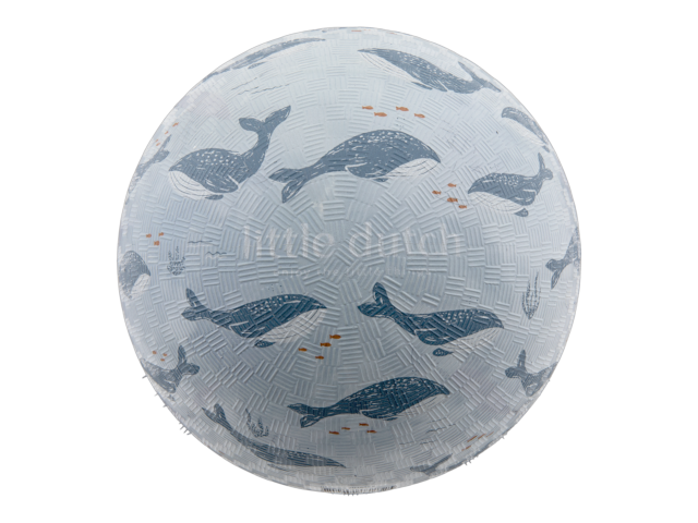 Little Dutch Plastikball Ocean World