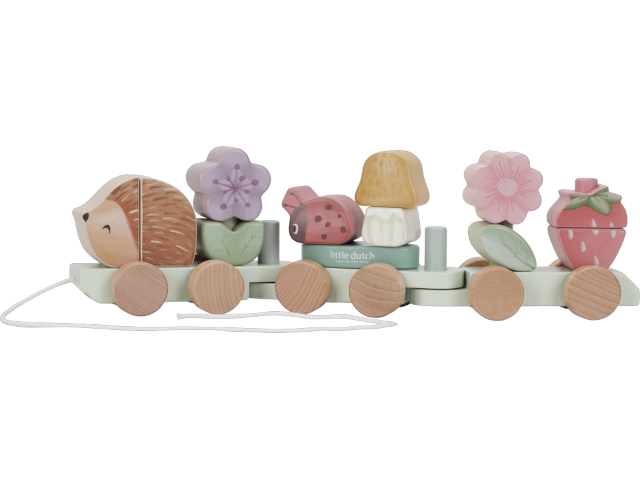 Eisenbahn mit Steck-Formen Igel Fairy Garden FSC