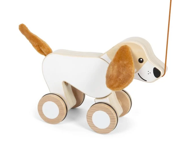 Nachziehtier Hund mit Knisterohren