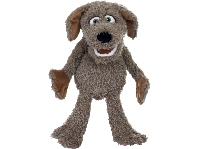 Locke der kleine Hund