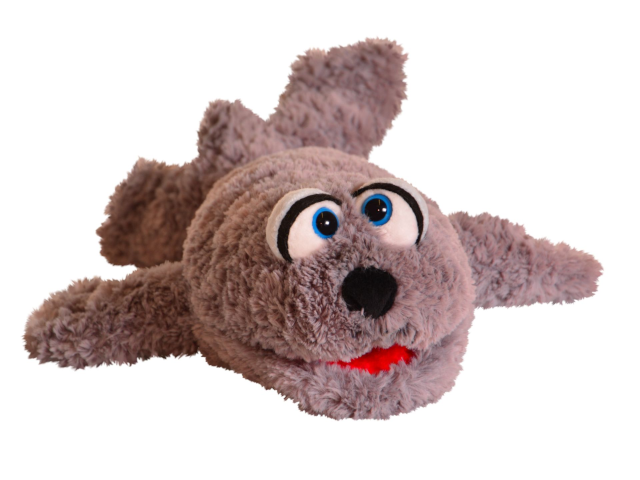 Böhnchen Robbe