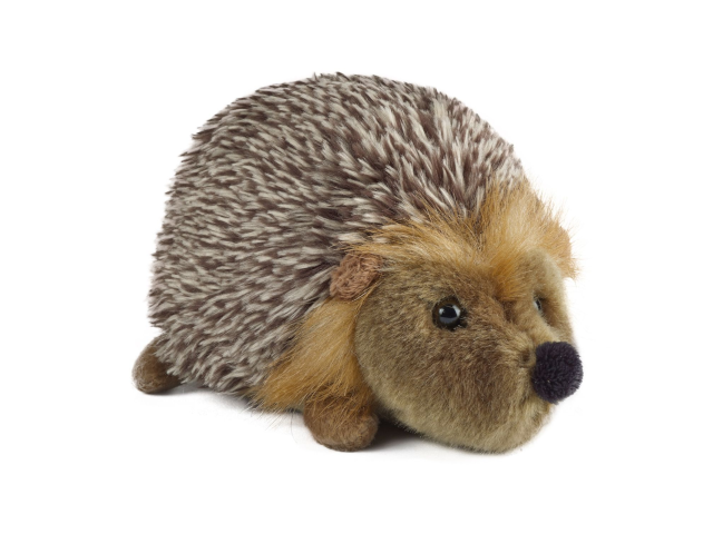 LIVING NATURE Igel Jungtier