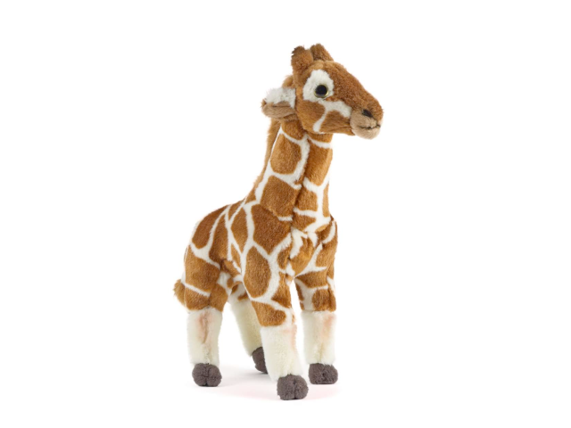 LIVING NATURE Giraffejunges