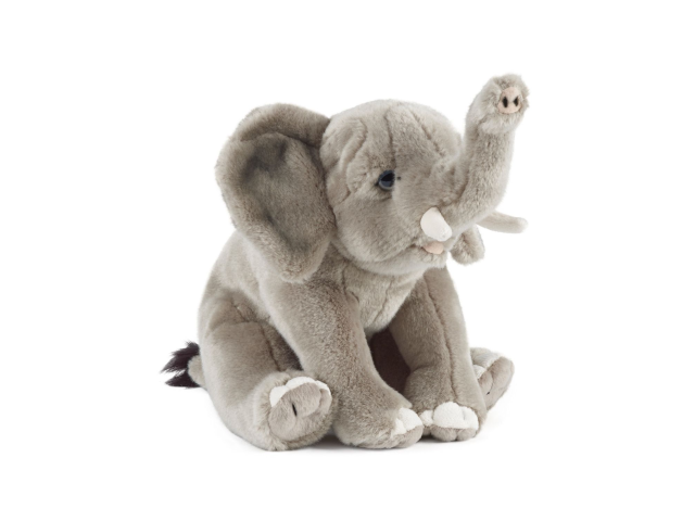 LIVING NATURE Elefant