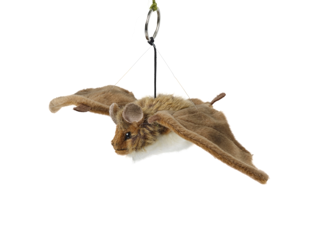 LIVING NATURE Fledermaus klein