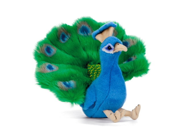 LIVING NATURE Pfau