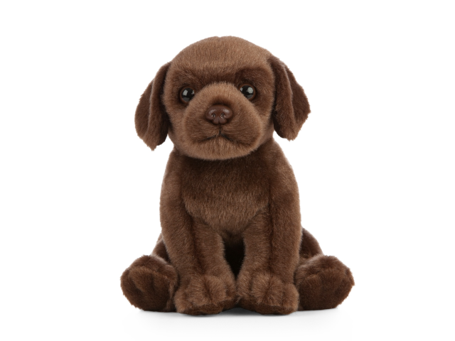 LIVING NATURE Schoko Labrador Welpen
