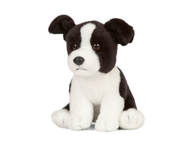 LIVING NATURE Border Collie Welpe