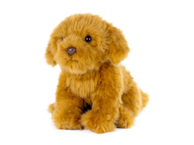 LIVING NATURE Cavapoo