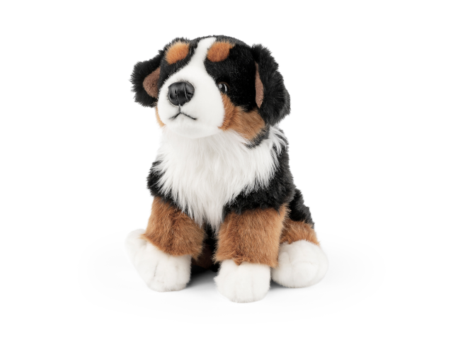 LIVING NATURE Berner Sennenhund