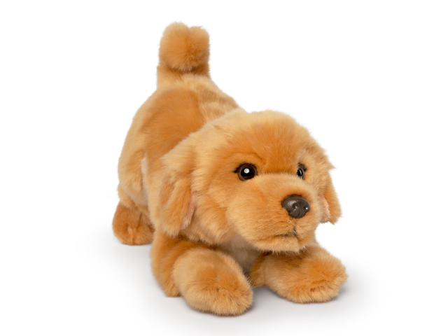 LIVING NATURE Golden Retriever spielender Welpe