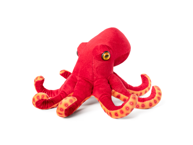 LIVING NATURE Oktopus