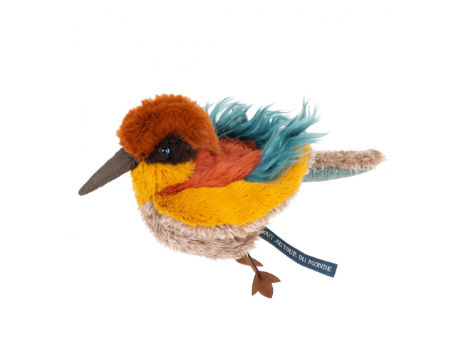 Bienenfresser Vogel
