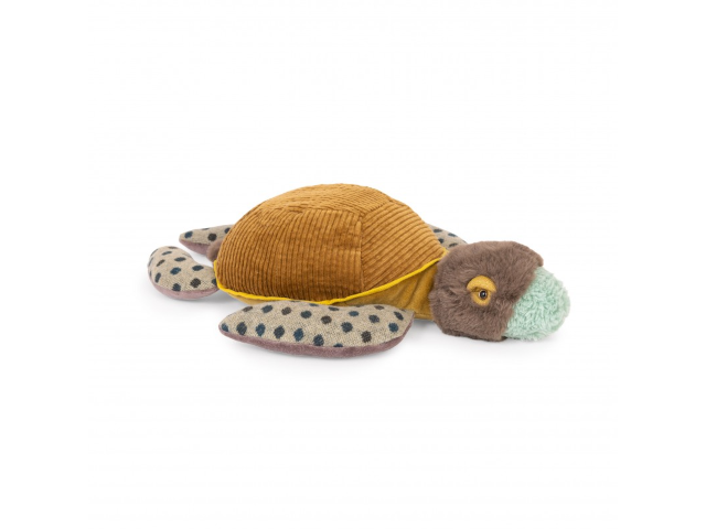 Schildkröte klein