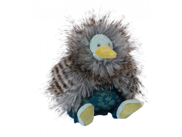 Kleiner Vogel Kiwi