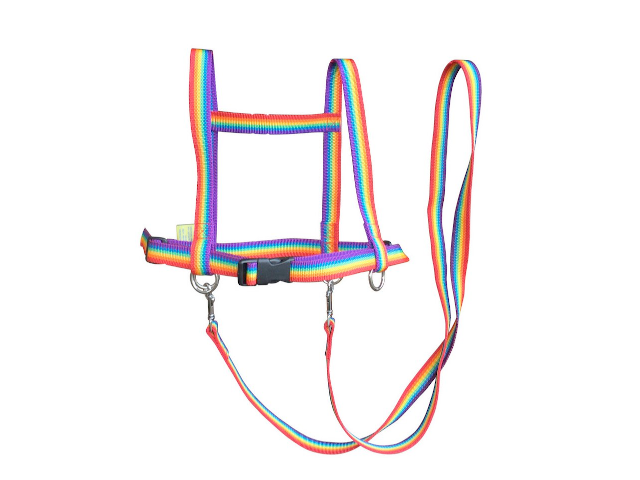 Pferdespielleine Regenbogen Zügelmatz