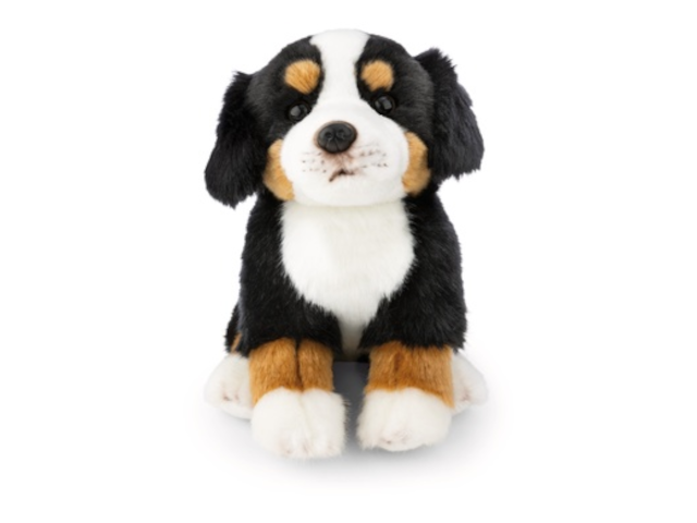 Berner Sennenhund 20cm