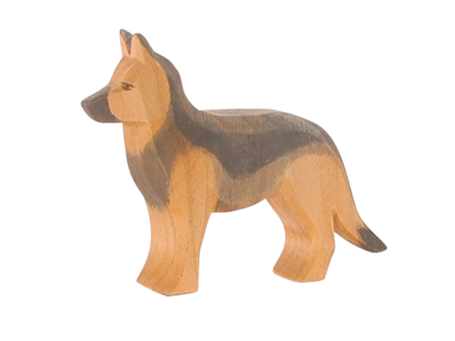 Schäferhund stehend
