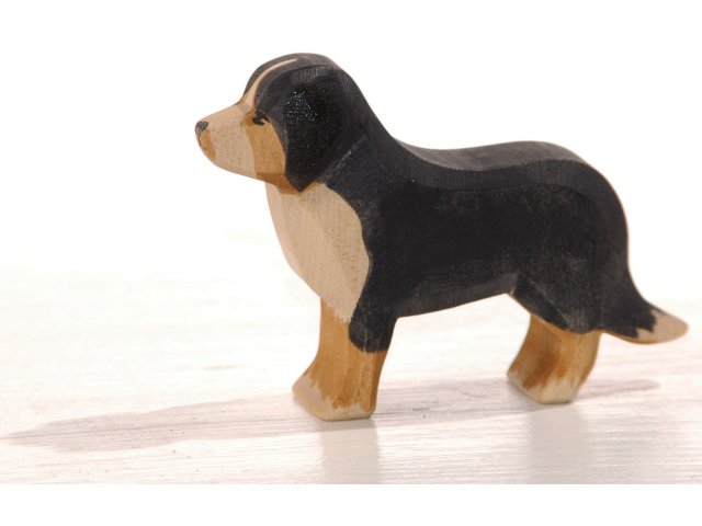 Berner Sennenhund
