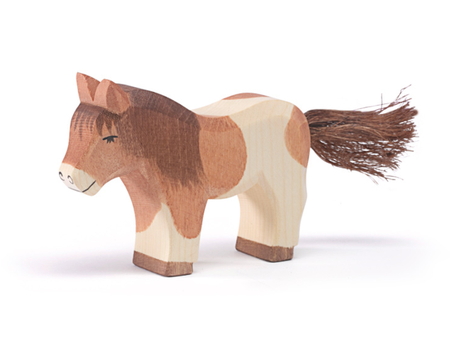Shetland Pony stehend