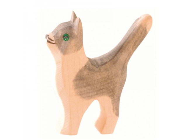 Katze klein Kopf hoch