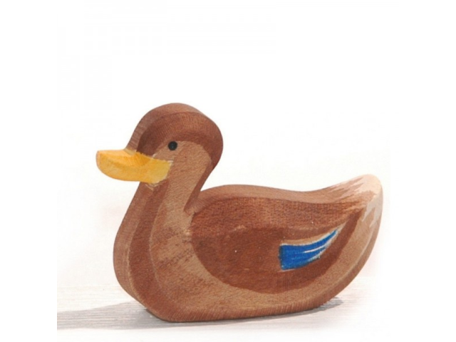 Ente schwimmend