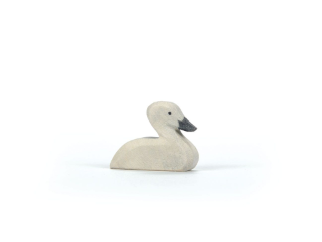 Schwan klein