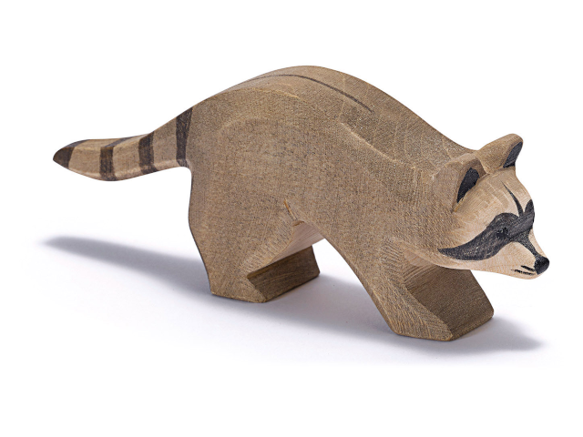 Waschbär laufend