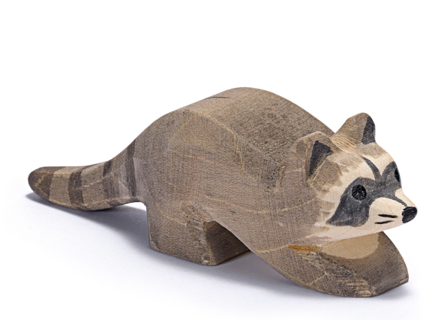 Waschbär klein