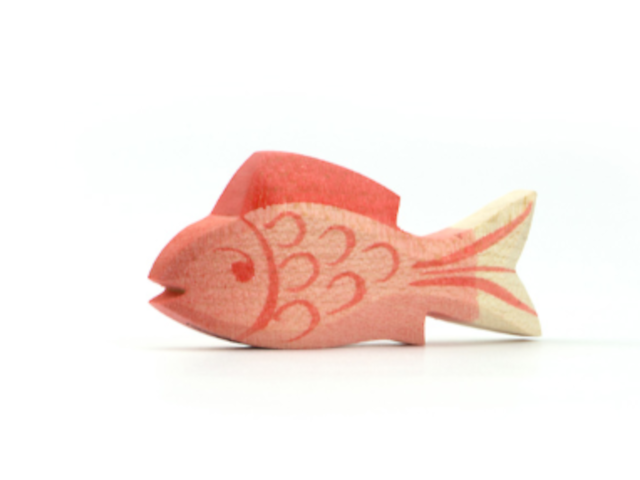 Fisch rot
