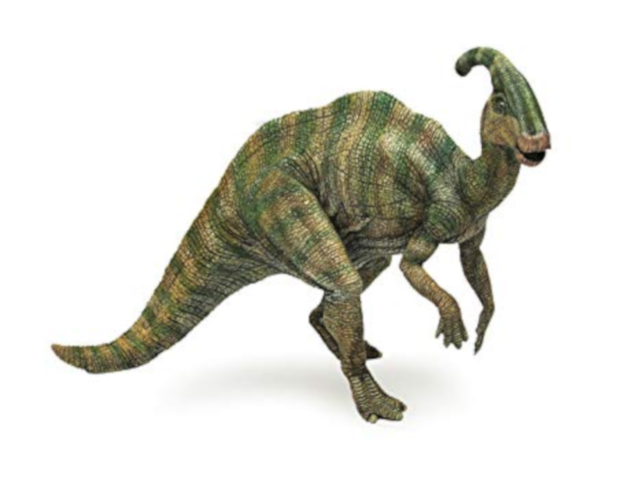 Parasaurolophus