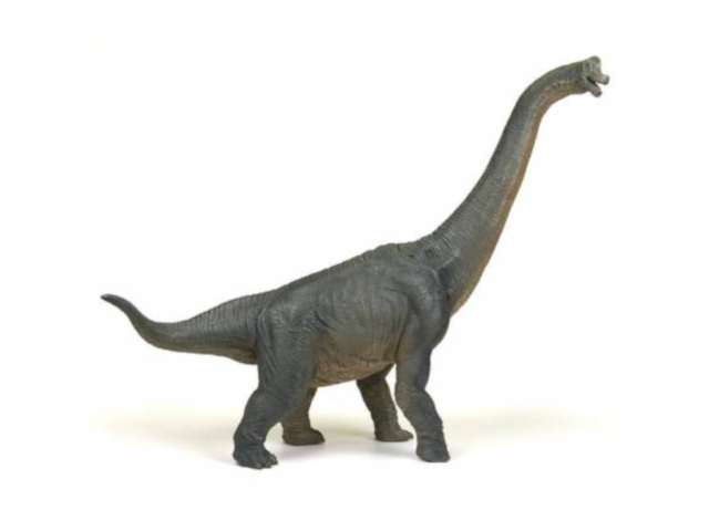 Brachiosaurus