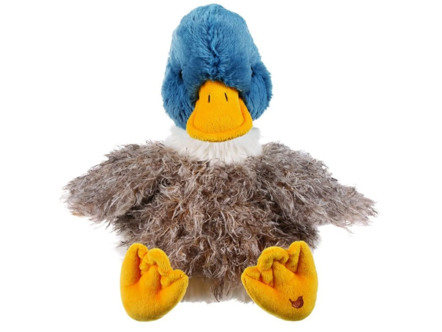 Ente Plüschtier `Webster` gross