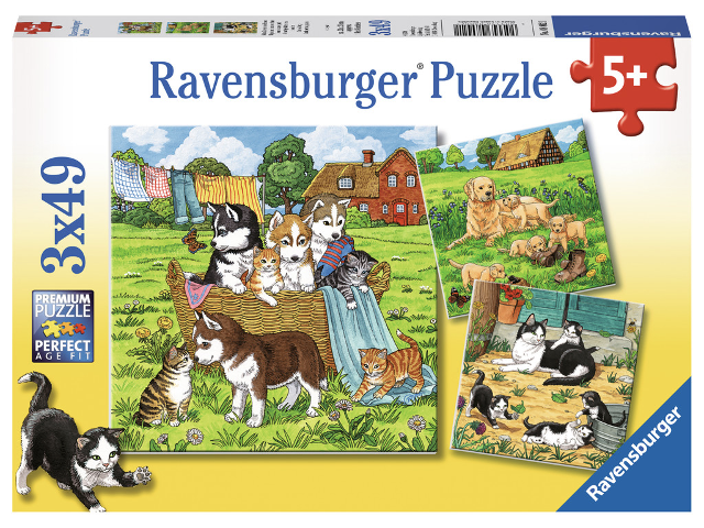Puzzle 3x49 Teile Süße Katzen und Hunde