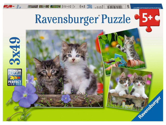 Puzzle 3x49 Teile Süße Samtpfötchen
