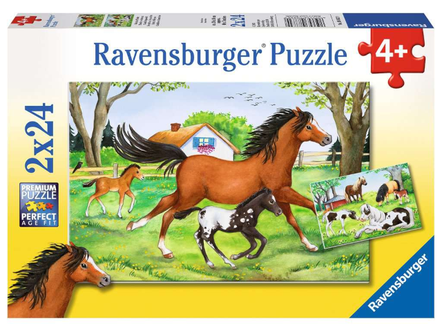 Puzzle 2x24 Teile Welt der Pferde