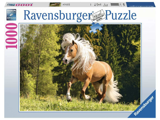Pferdeglück 1000 Teile