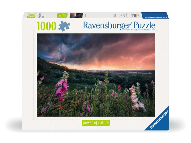 Puzzle 1000 Teile Ein Sturm zieht auf