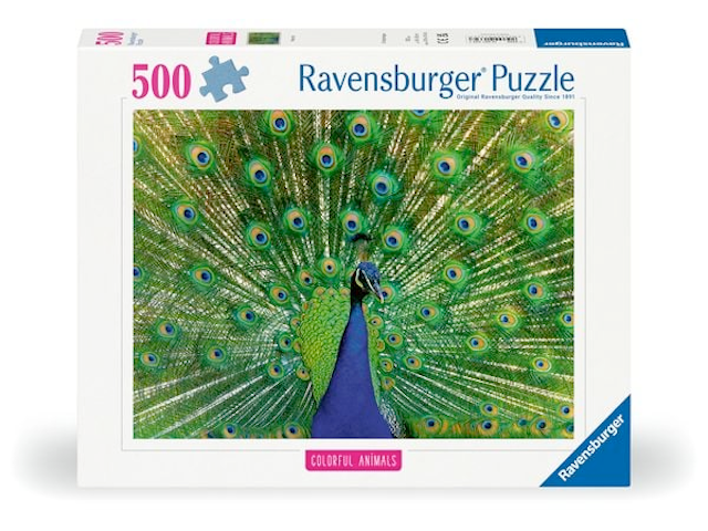 Puzzle 500 Teile: Peacock