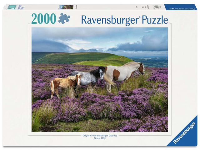 Puzzle 2000 Teile: Wildpferde in der Heide