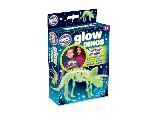 Triceratops Skelett Glow in the Dark