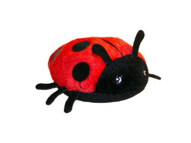 Fingerpuppe Marienkäfer Mini Beasts
