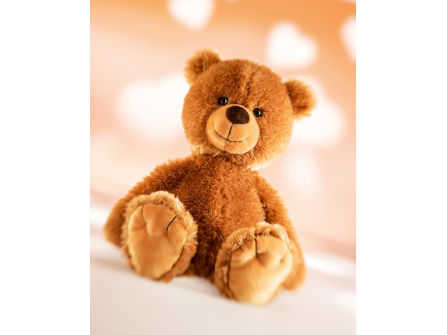 Teddy Tom 19cm