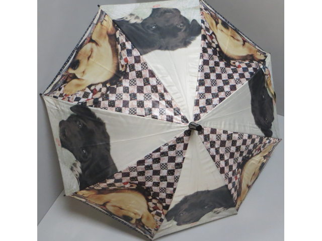 Kinderschirm gross Hundewelpen