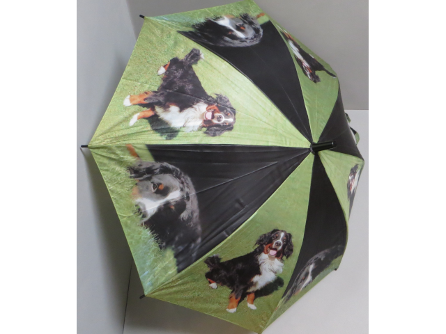 Kinderschirm gross Sennenhund