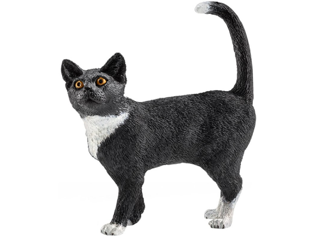 Katze stehend schwarz