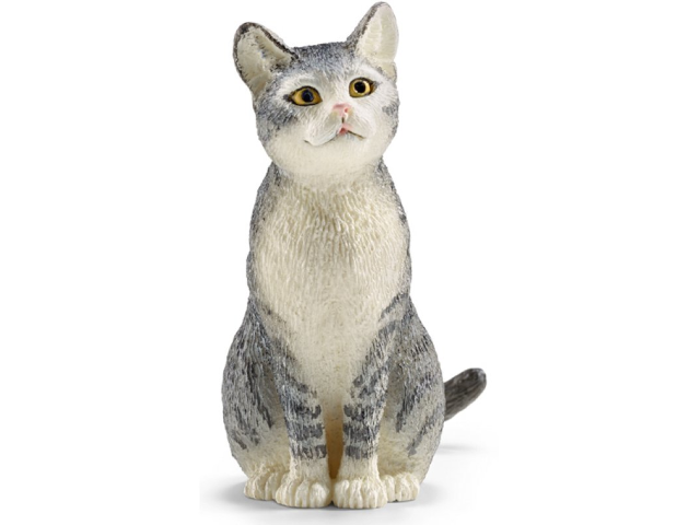 Katze sitzend